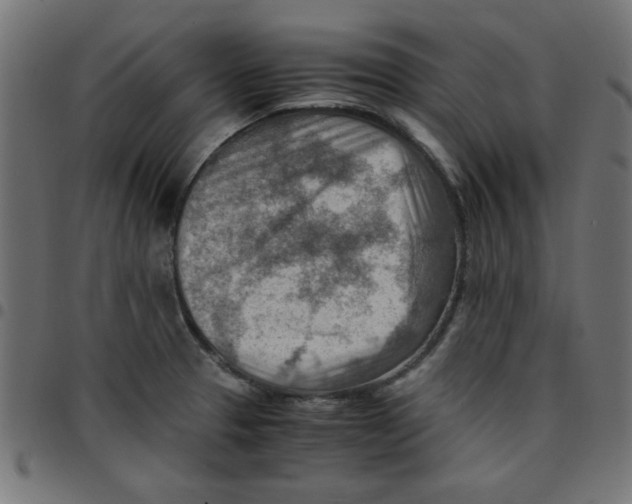 X0000096941329200803070957