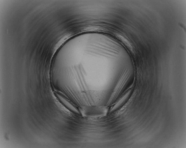 X0000096941330200803070957