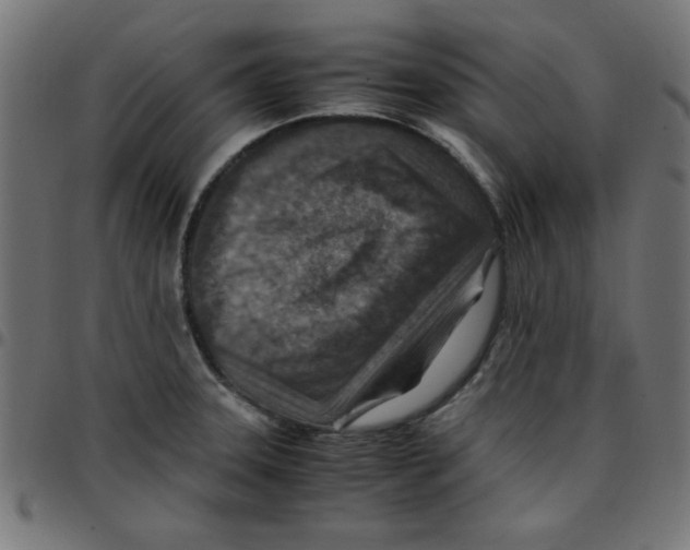 X0000096941331200803070957