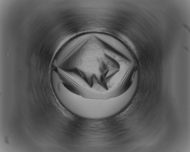 X0000096941332200803070957