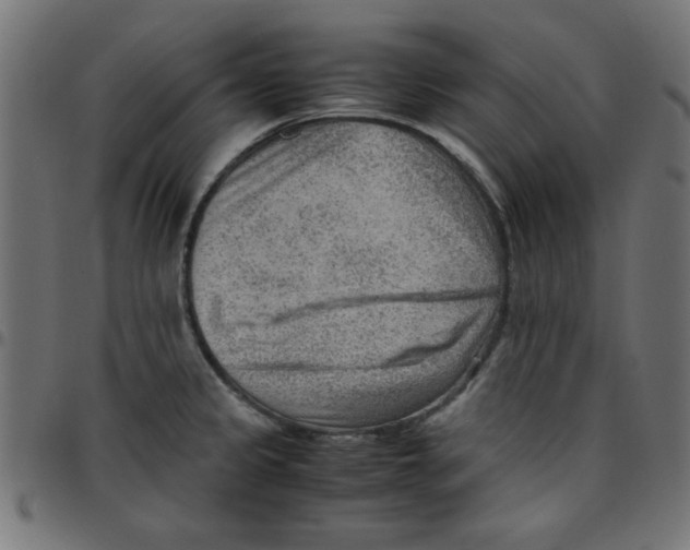 X0000096941333200803070957