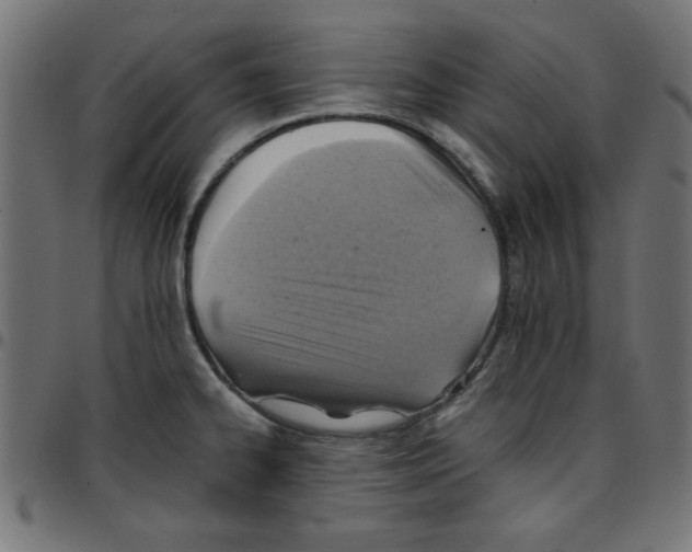 X0000096941334200803070957