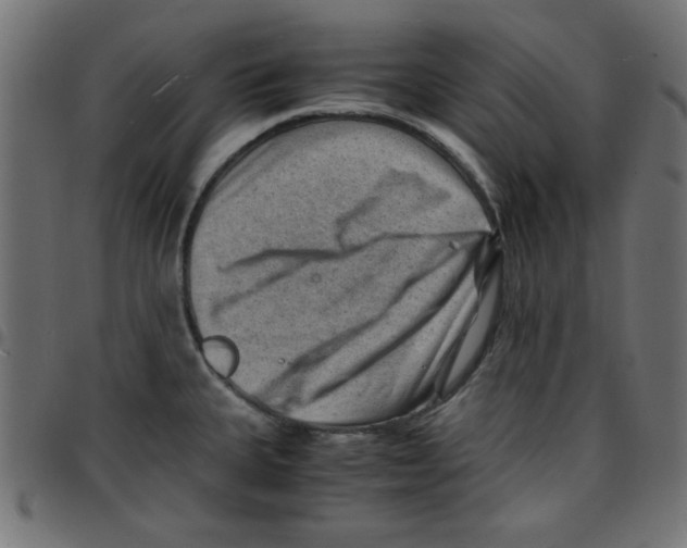 X0000096941335200803070957