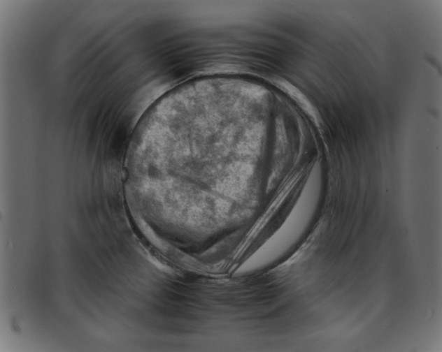 X0000096941337200803070957