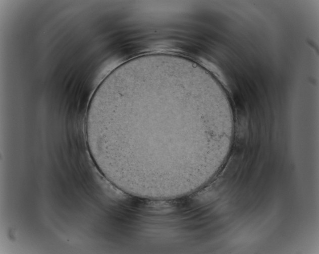 X0000096941338200803070957