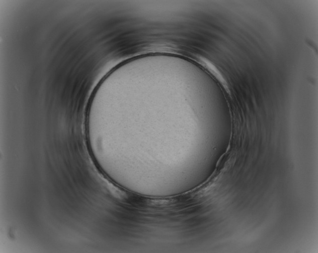 X0000096941339200803070957