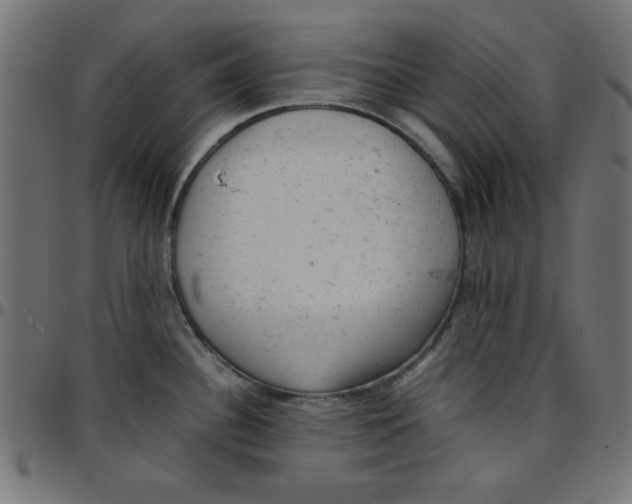 X0000096941340200803070957