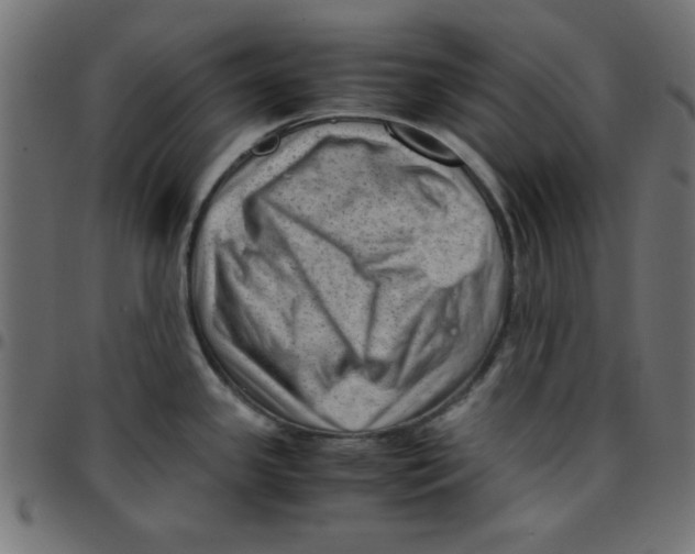 X0000096941341200803070957