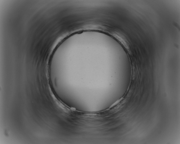 X0000096941342200803070957