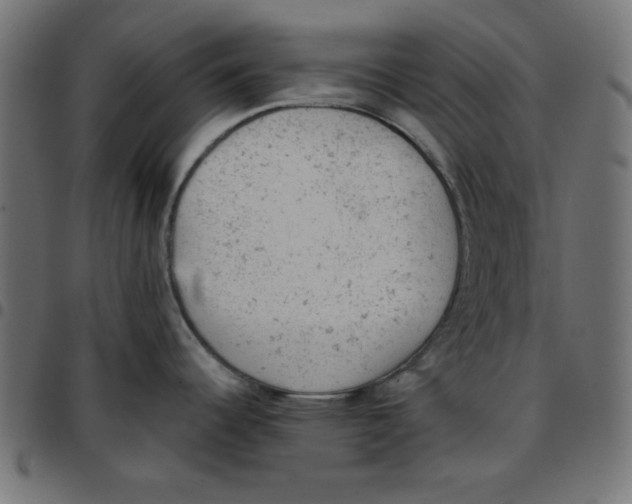 X0000096941344200803070957