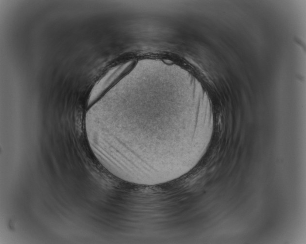 X0000096941348200803070956