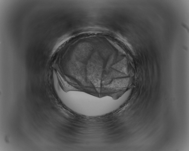 X0000096941352200803070956