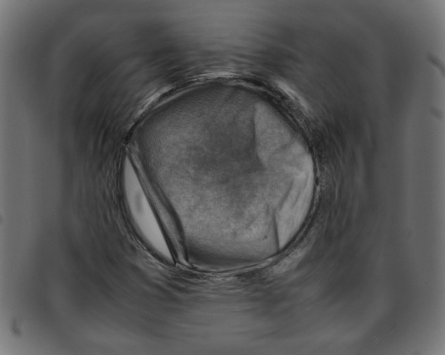 X0000096941353200803070956