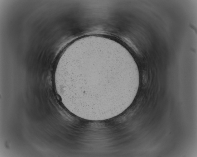 X0000096941356200803070956