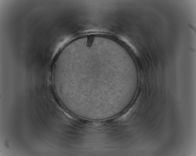 X0000096941357200803070956