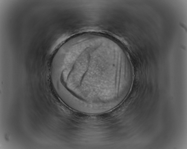 X0000096941359200803070956