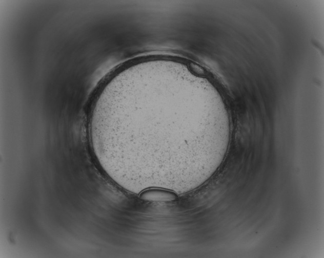 X0000096941360200803070956