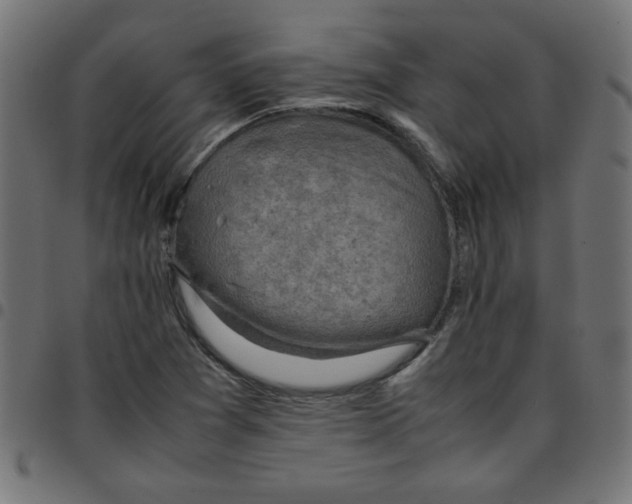 X0000096941361200803070956