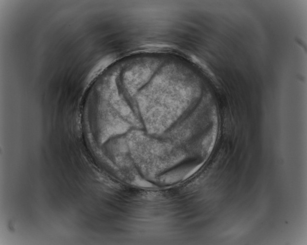 X0000096941362200803070956