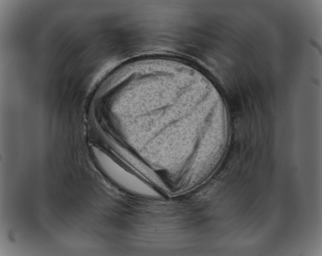 X0000096941363200803070956