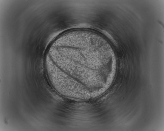 X0000096941364200803070956