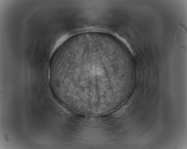 X0000096941365200803070956