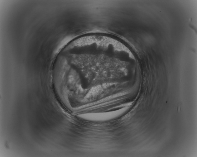 X0000096941367200803070956