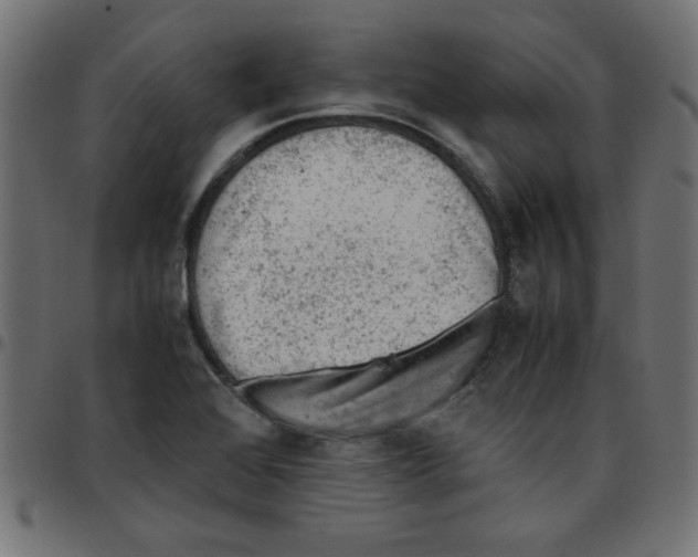 X0000096941368200803070956