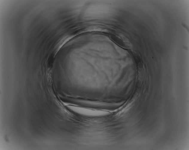 X0000096941369200803070956