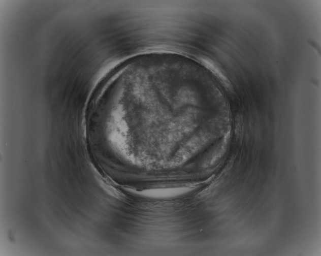 X0000096941372200803070956