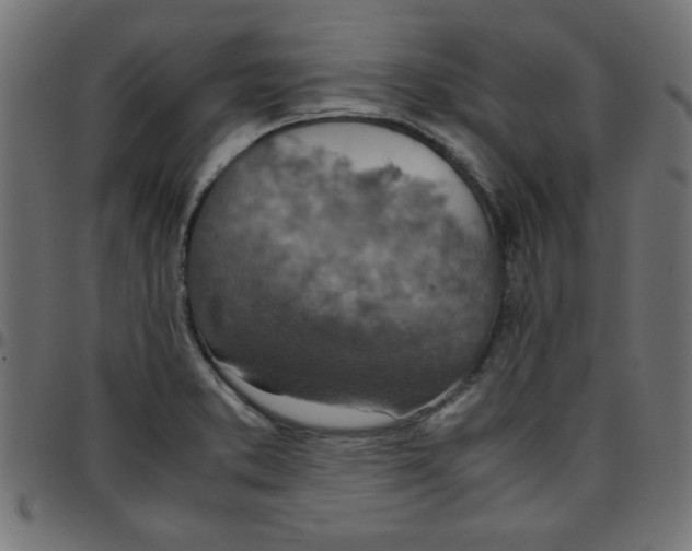 X0000096941373200803070956