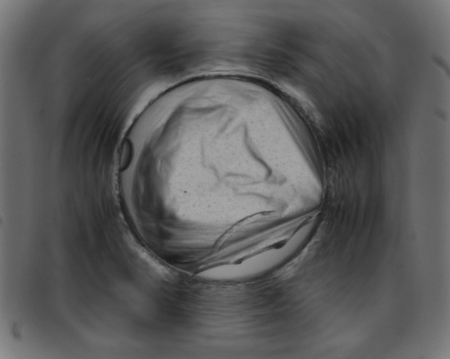 X0000096941374200803070956