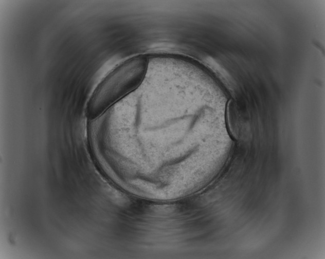 X0000096941376200803070956