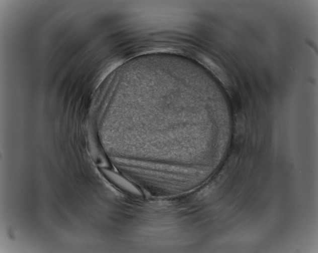 X0000096941377200803070956