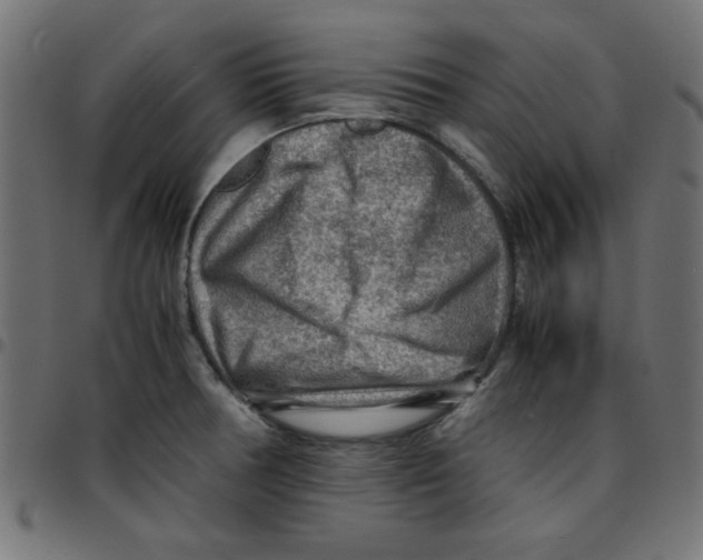 X0000096941378200803070956