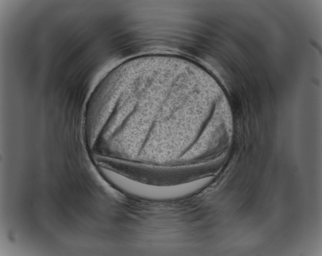 X0000096941379200803070956