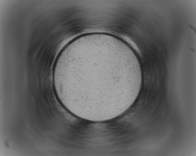 X0000096941380200803070956