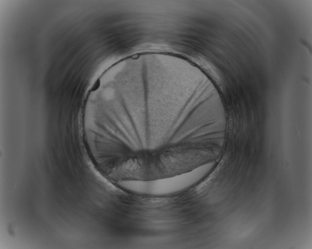 X0000096941382200803070956