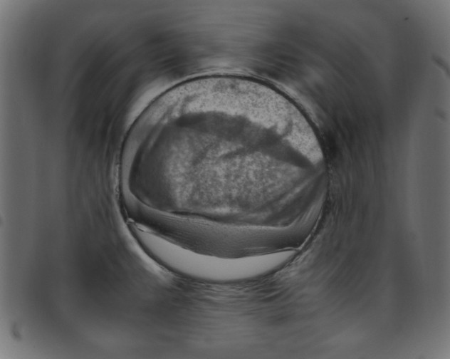 X0000096941383200803070956