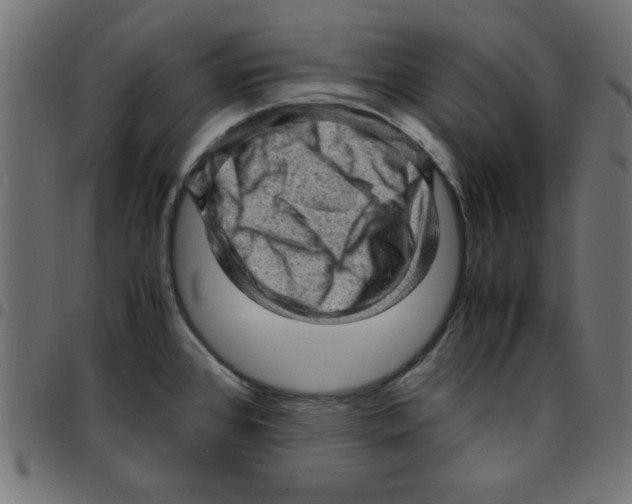 X0000096941384200803070956