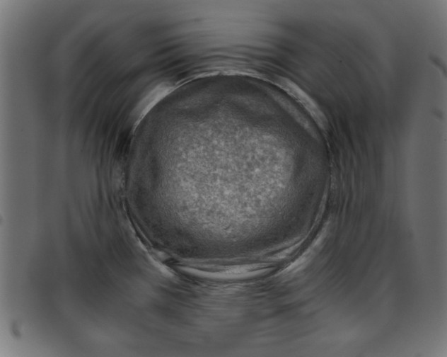 X0000096941385200803070956