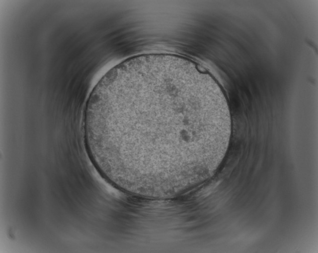 X0000096941387200803070956