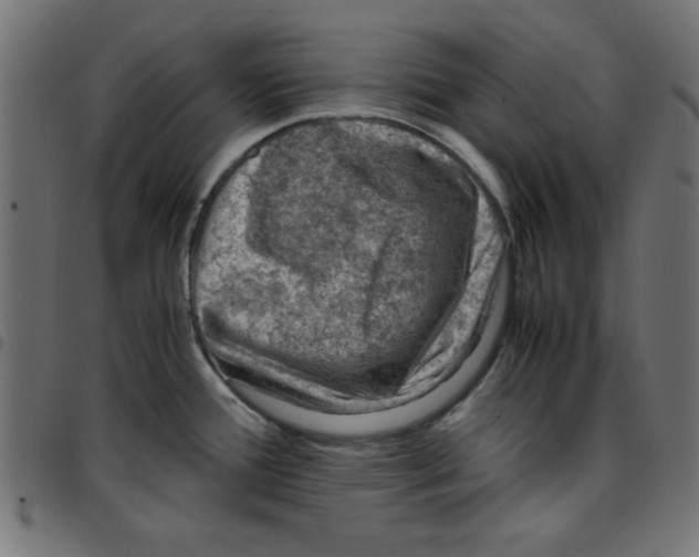 X0000096941388200803070956