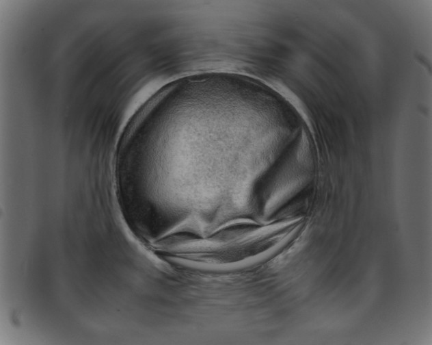 X0000096941389200803070956