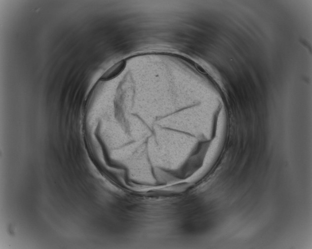 X0000096941390200803070956