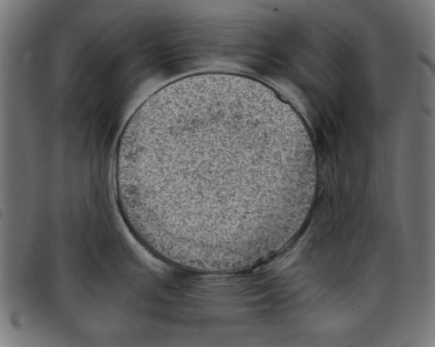 X0000096941391200803070956