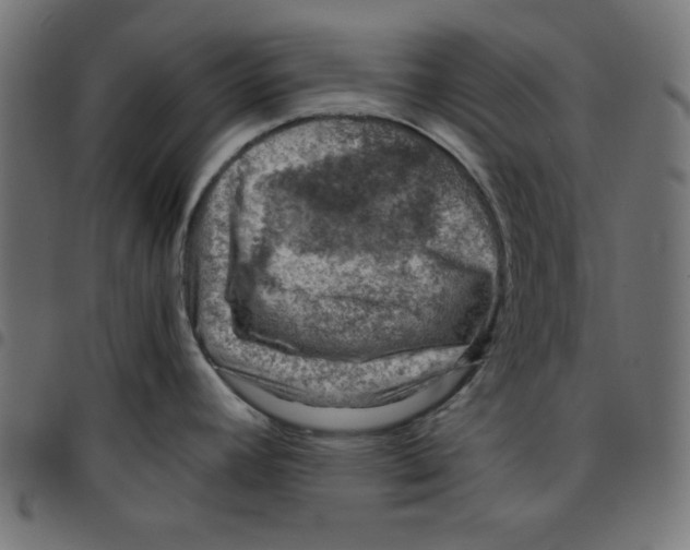 X0000096941392200803070956