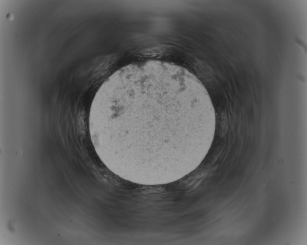 X0000096941394200803070955