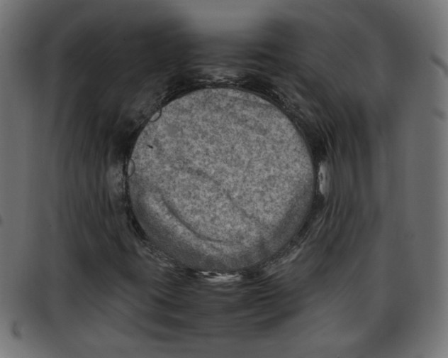 X0000096941395200803070955