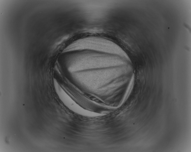 X0000096941398200803070955